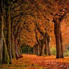 ambhide's profile picture. 