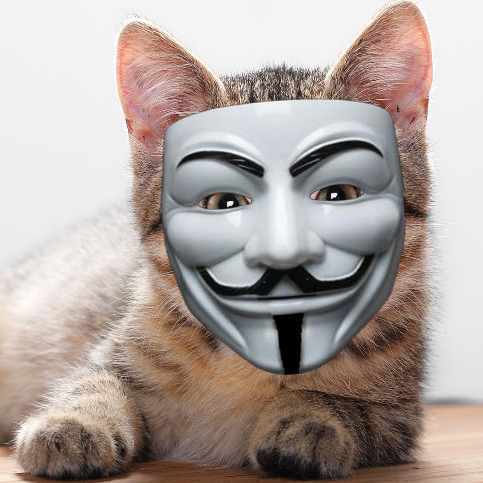 Normal citizen fightig for an free internet and for my own and others feature- #Retweets all the good/bad stuff and updates