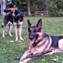 Anthony Lis - @d712c4d0d904474 - Twitter