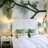 couch_interiors's profile image