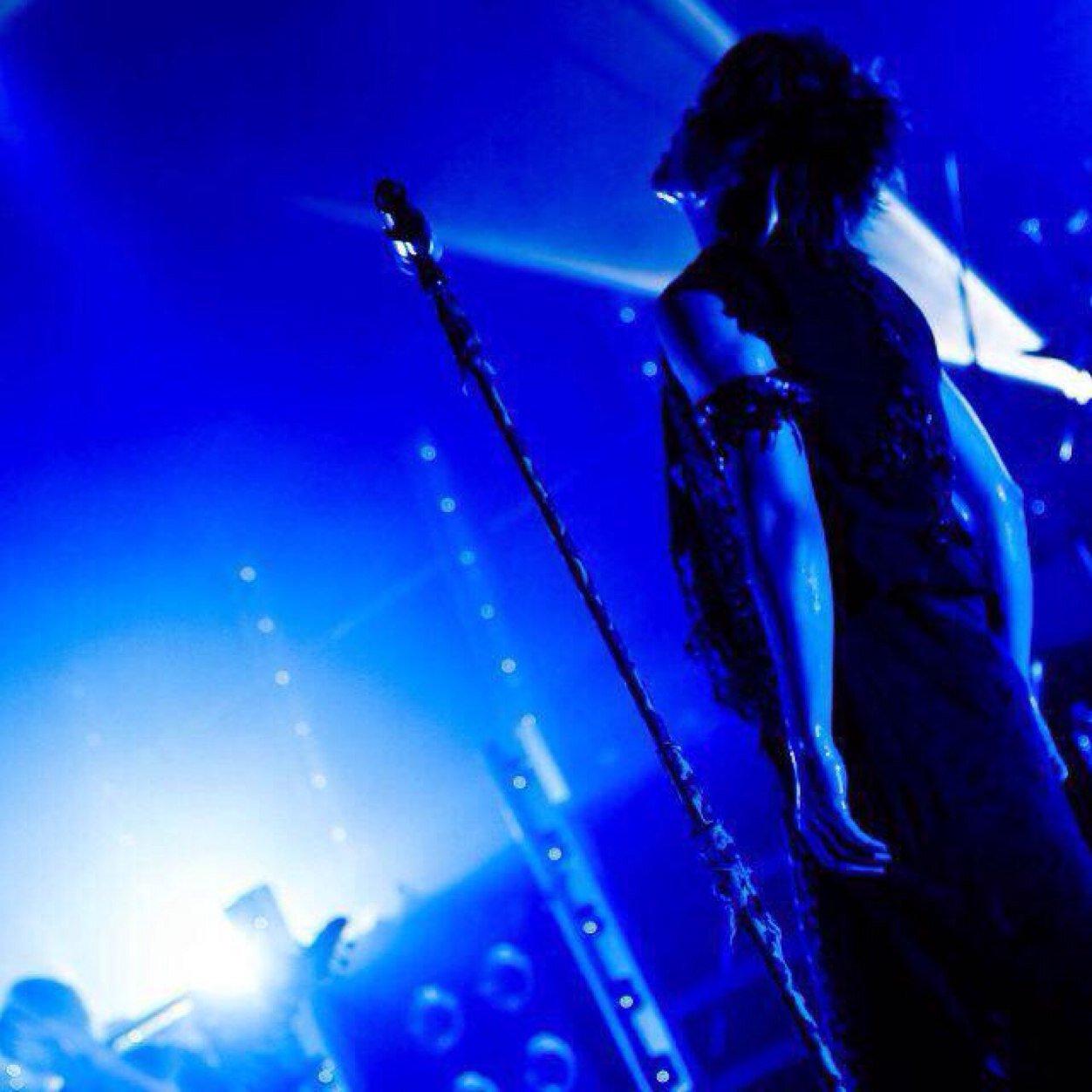 goforit08111's profile picture. 愚痴とかあれしたいこれしたいとか呟きますです