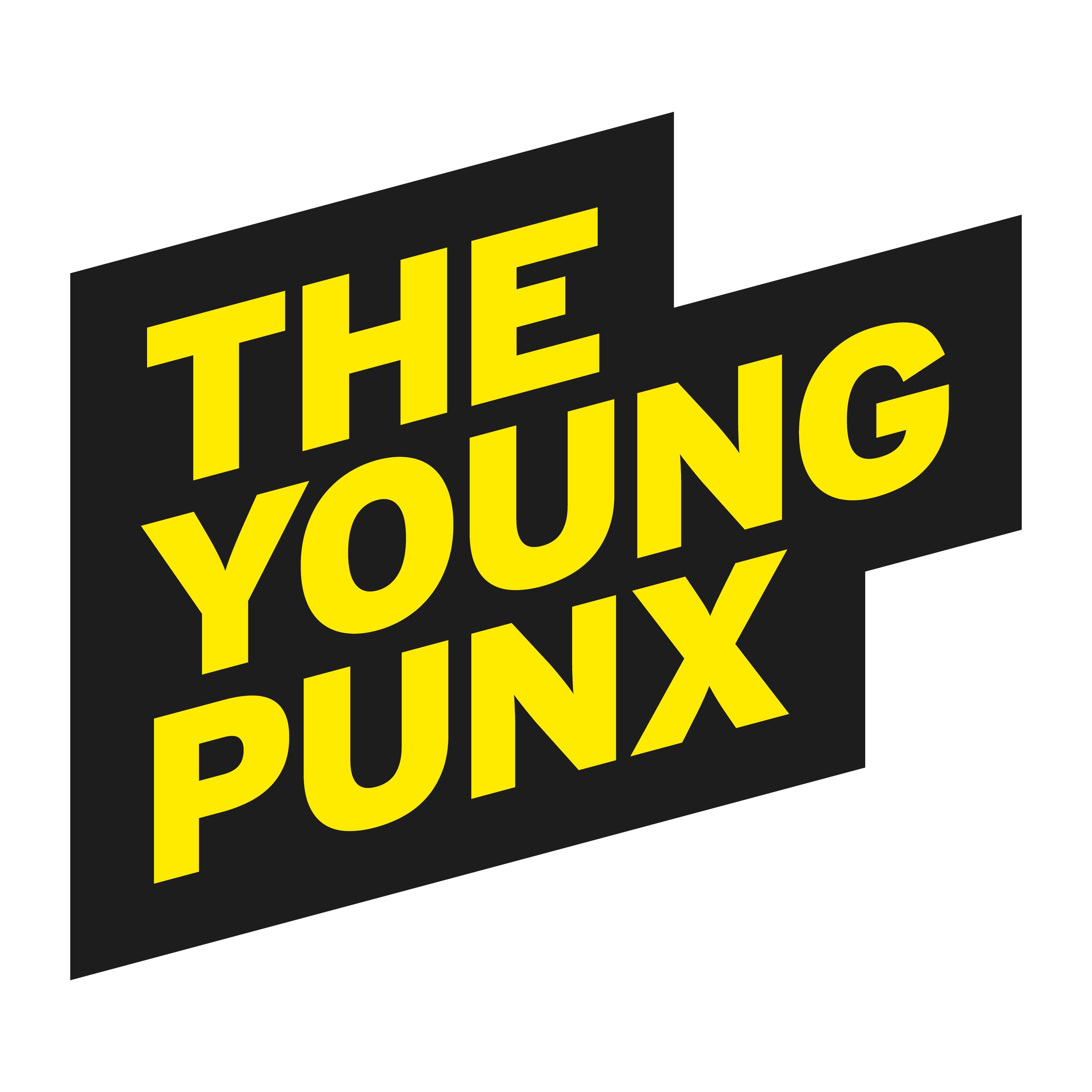 The Young Punx