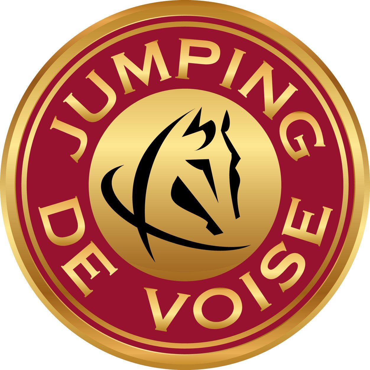Concours #équestre de #saut d'#obstacles haut de gamme agréé #FFE, situé en Eure-Et-Loir à Villemeux s/ Eure Prochaine édition : 25 26 27 Septembre 2015 #CSO