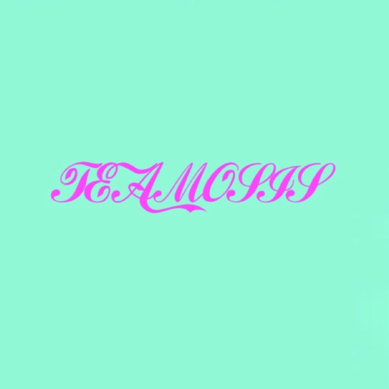 Teamosis
1. We are a group of six people.
2. In love with photography.
3. We are teen-agers.
4. We are a girls.
Twitter - teamosis_6