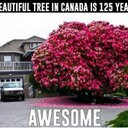 Sandy Mangat - @gghaiguri98 - Twitter