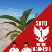 hendriwnugroho's profile picture. saya hanyalah manusia biasa. . . .