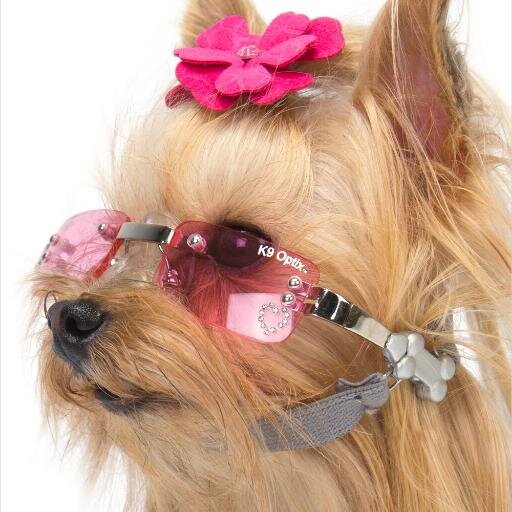 DoraGrey1's profile picture. 