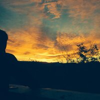Josh Doman (@free_joshdoman) 's Twitter Profile Photo