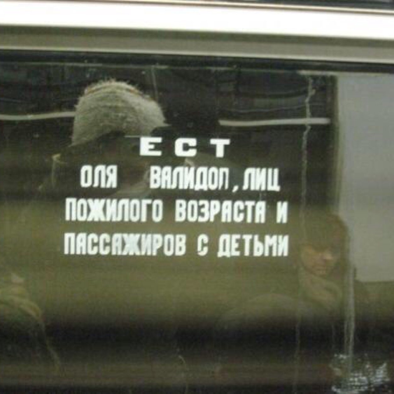 Люблю кота