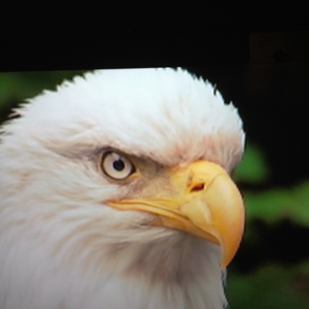 See profile on linkin: