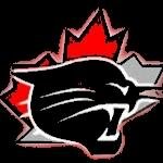 The official twitter page of the Nepean Wildcats Girls Hockey Competitive Program