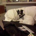 robert ray mcghee - @robertraymcghee - Twitter