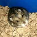 Bailey Godfrey - @baileyg0208 - Twitter