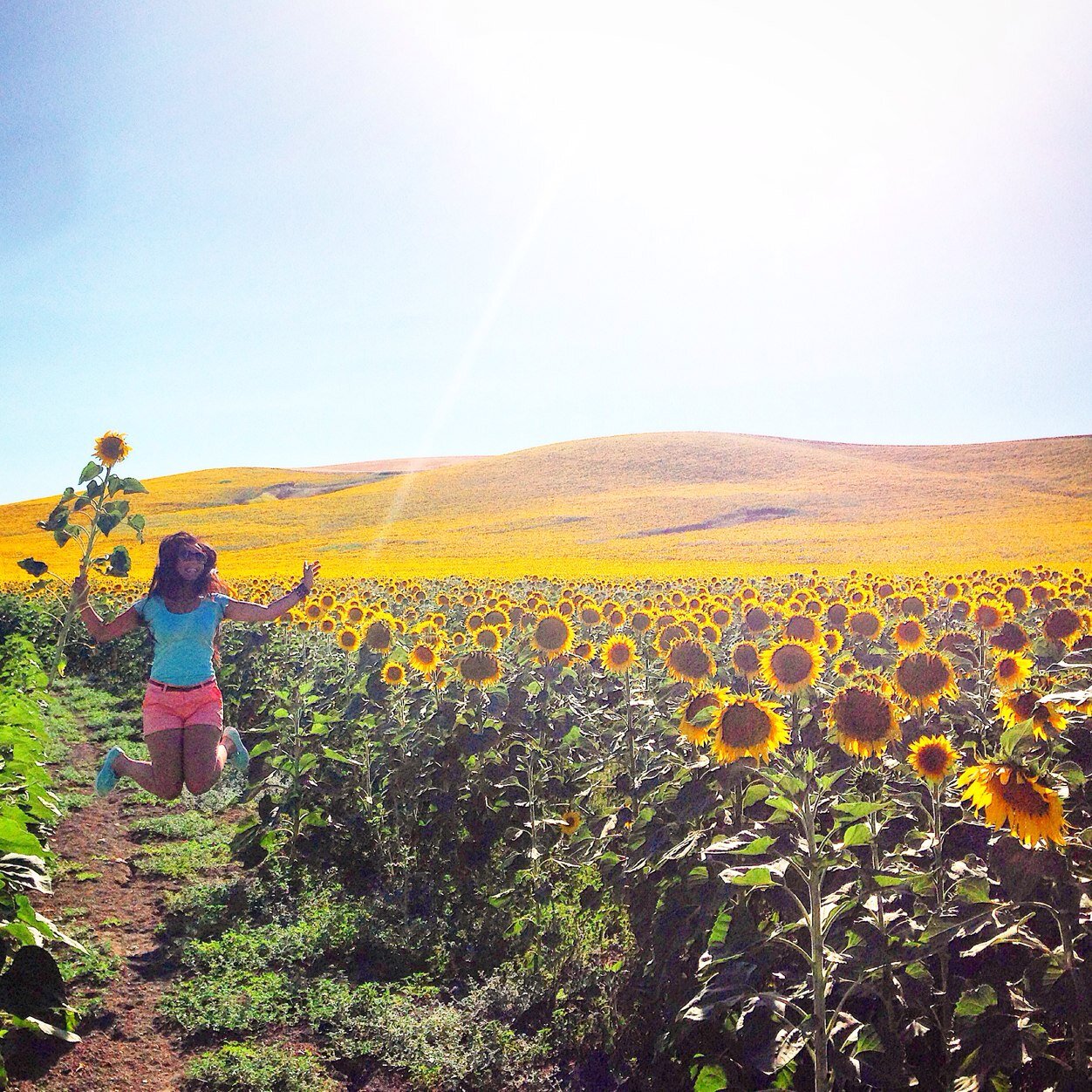 e_sSpe's profile picture. 