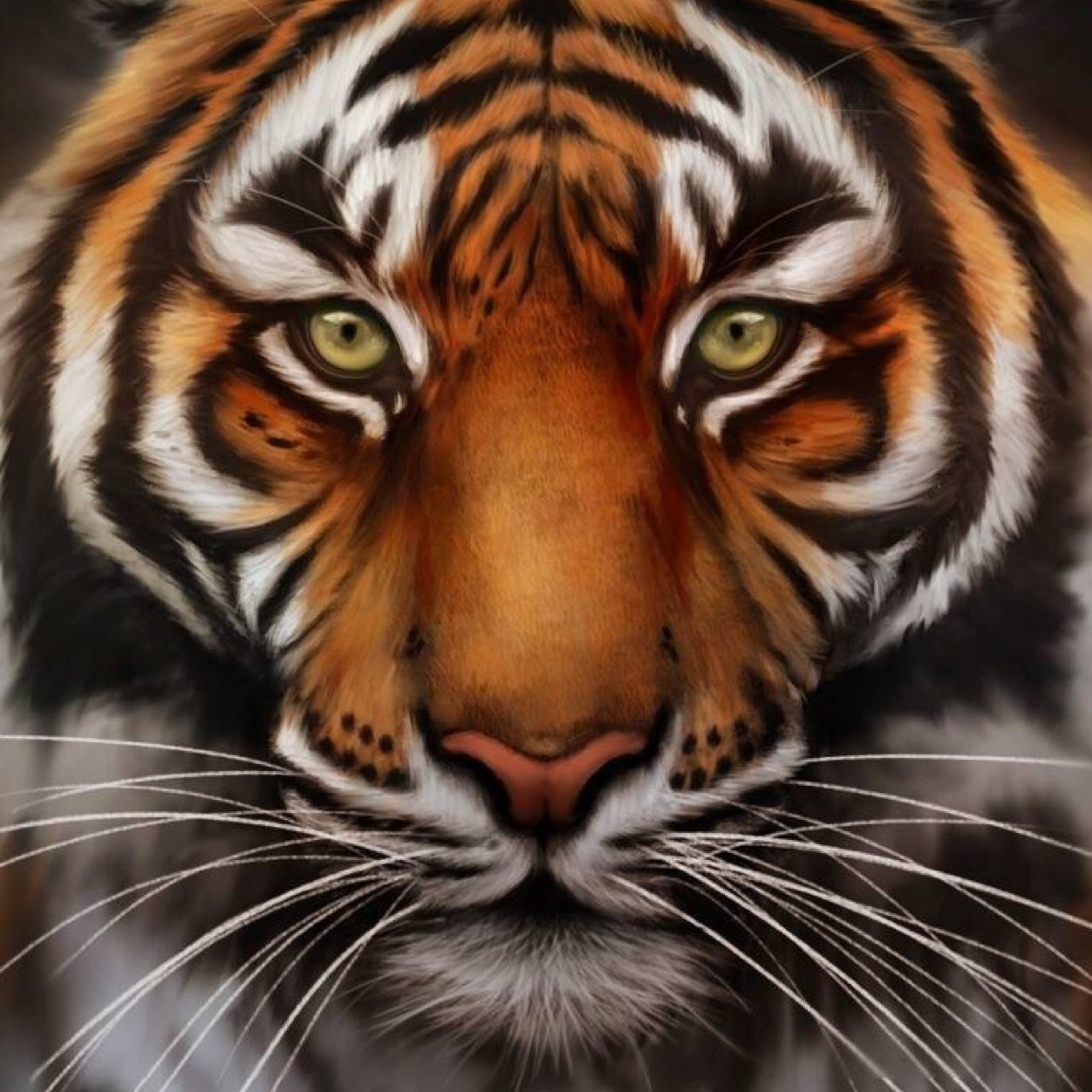 aabbccee04's profile picture. 