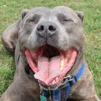 Rob Mathieson (@rob__mathieson) 's Twitter Profile