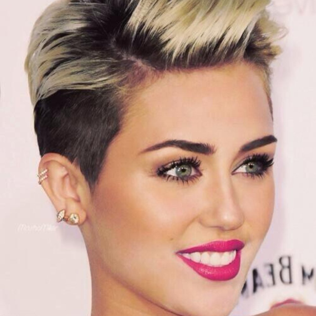 smilers_tour Profile Picture