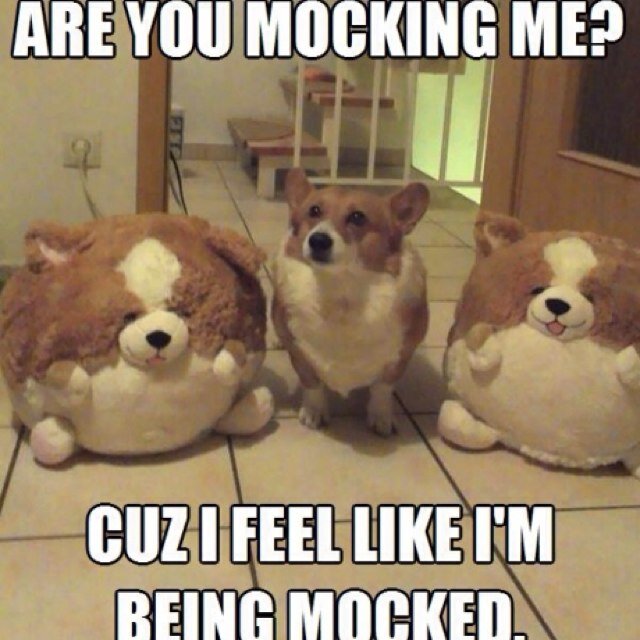 vegaspowers's profile picture. Acrobat/Waterskiier living in Las Vegas!!