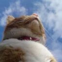 feng he - @huanwf - Twitter