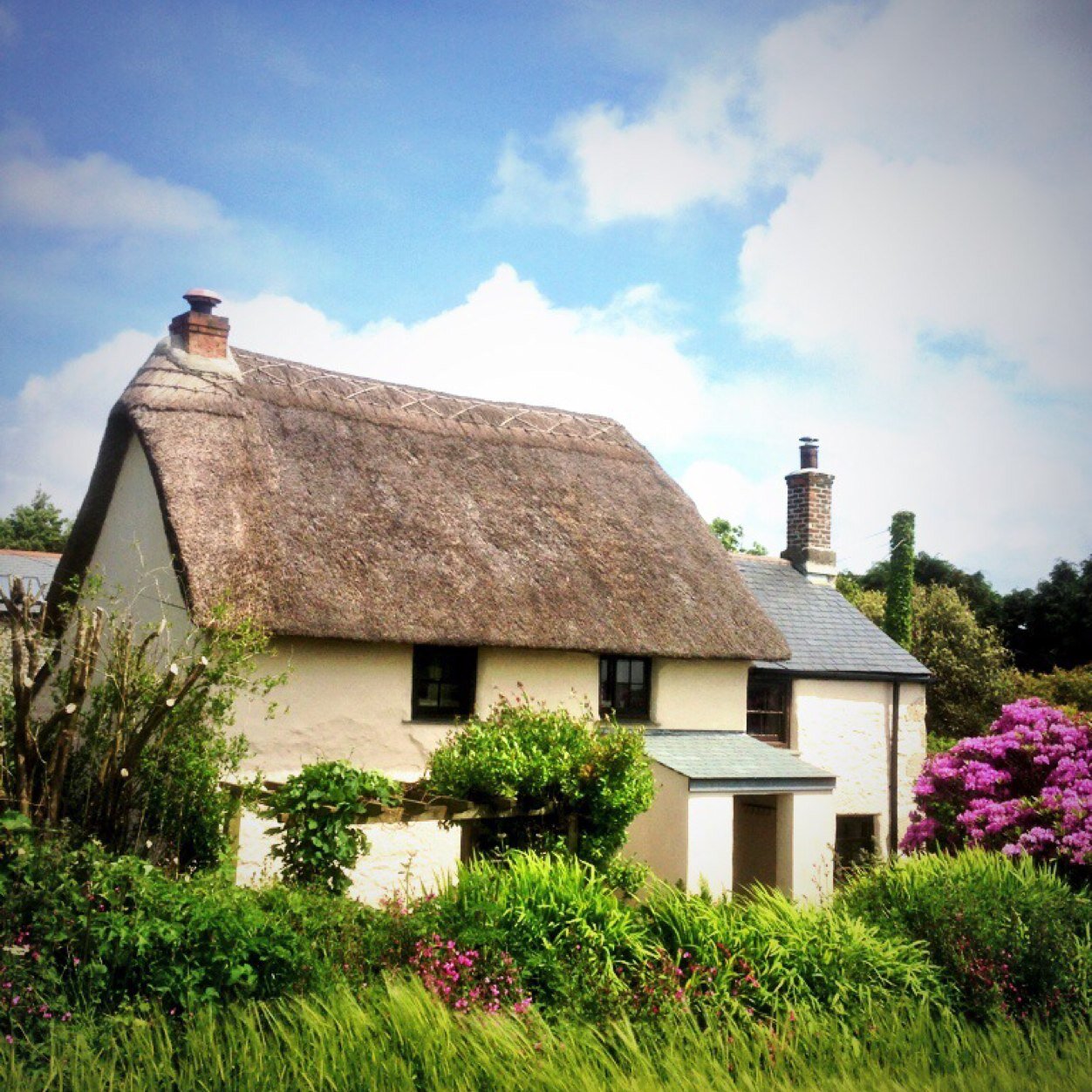 Thatched holiday cottage in SW Cornwall Instagram: @HPCottage Facebook: https://t.co/GnfkPqEUR8 Bookings: https://t.co/0fCqeD2A3K Tag us: #HPCottage