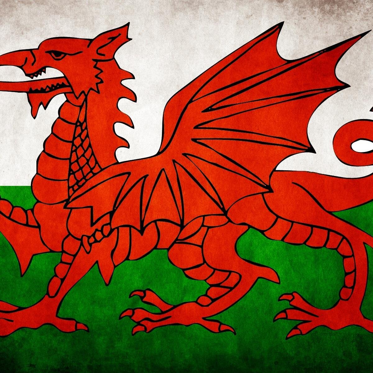 Adran Gymraeg Ysgol Dinas Brân