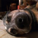 Aaron Elledge - @ASE_83 - Twitter