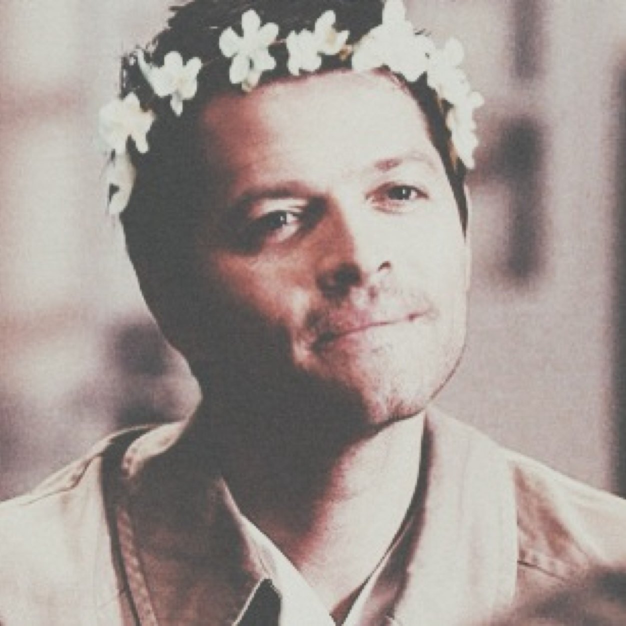 free follow from @waywarddestiel because you are fab