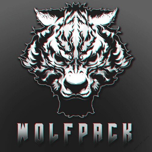 #WeAreThePack Official 2014 WolfPack Roster is @Hexasaur , @NegativeMLG @Kriscaky_  and @WolfPackRyuii