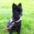 IanMorrison_GM's profile image