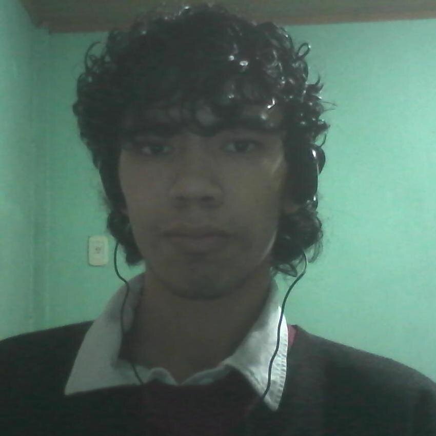 musico/compositor, escritor, dibujante, amante de la música, fan de Pentatonix y TFK.. 100%CATÓLICO
