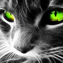 Bev Black - @BevBlack5 - Twitter