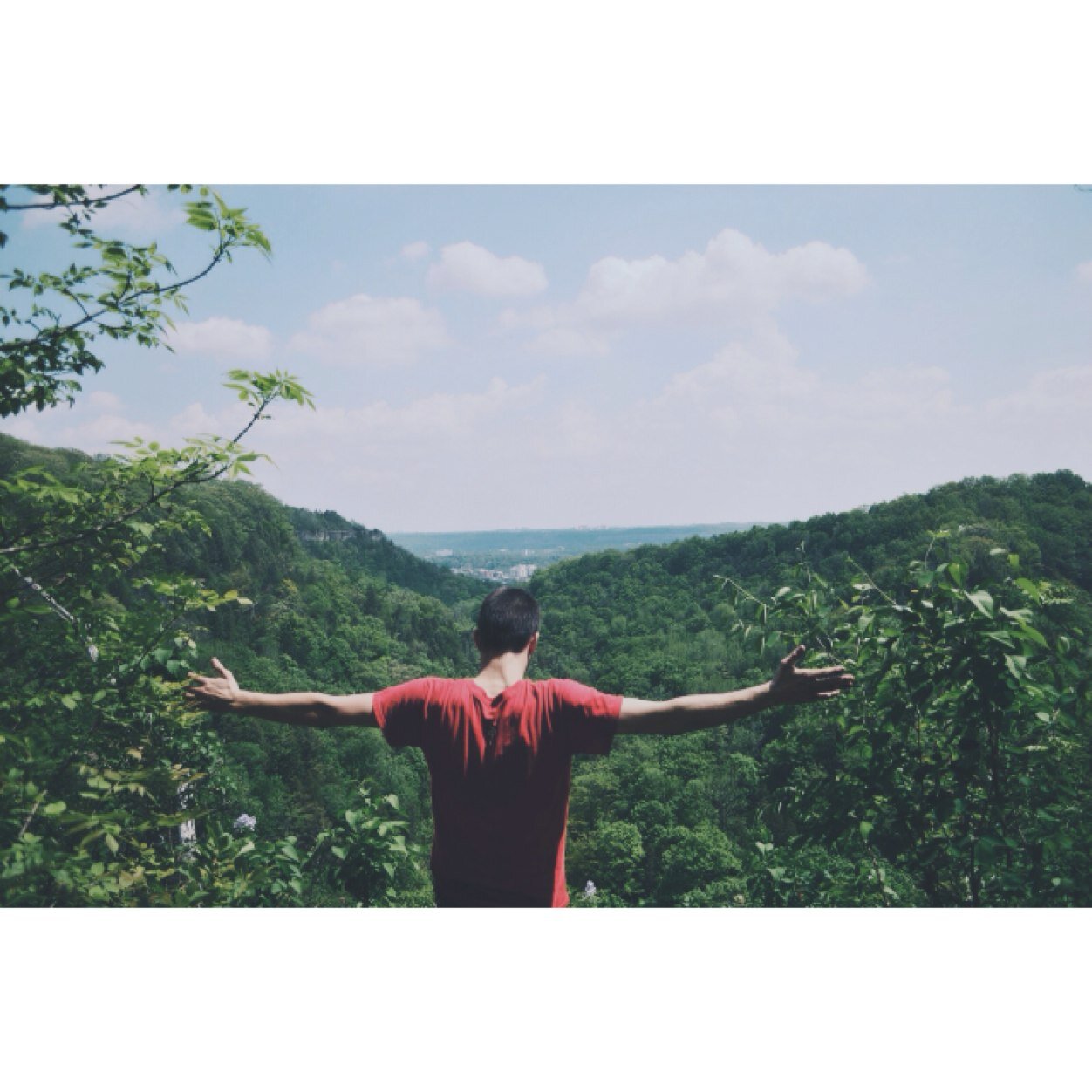 MitcchThorne's profile picture. Rebel Scum’