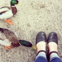 Gail Griggs - @gail_griggs - Twitter