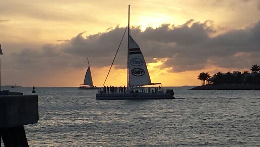 cholly6's profile picture. 