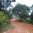 edson_carvalho1's profile image