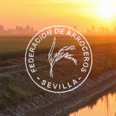 Federación de Arroceros de Sevilla. Los profesionales del arroz