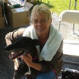 All things Greyhound,Lurcher,Galgo &Pitbull! Raising awareness and funding to fight canine cancer at Amethyst Group! Stanley Steemer West Coast Comm.Accts Coord