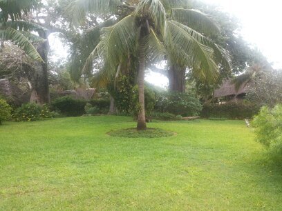 saramucha's profile picture. 