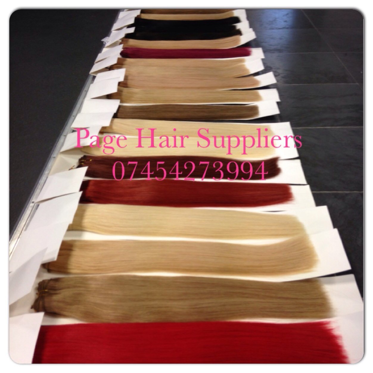 PageExtensions's profile picture. 