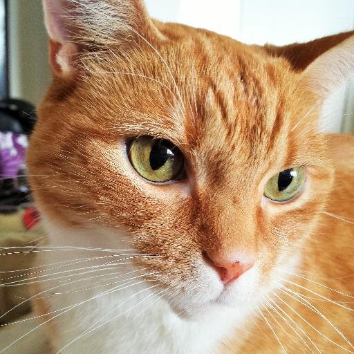 I'm a crafty Kat, who's unique - just like you.