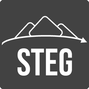 Broaden your IT capabilities with Steg Solutions