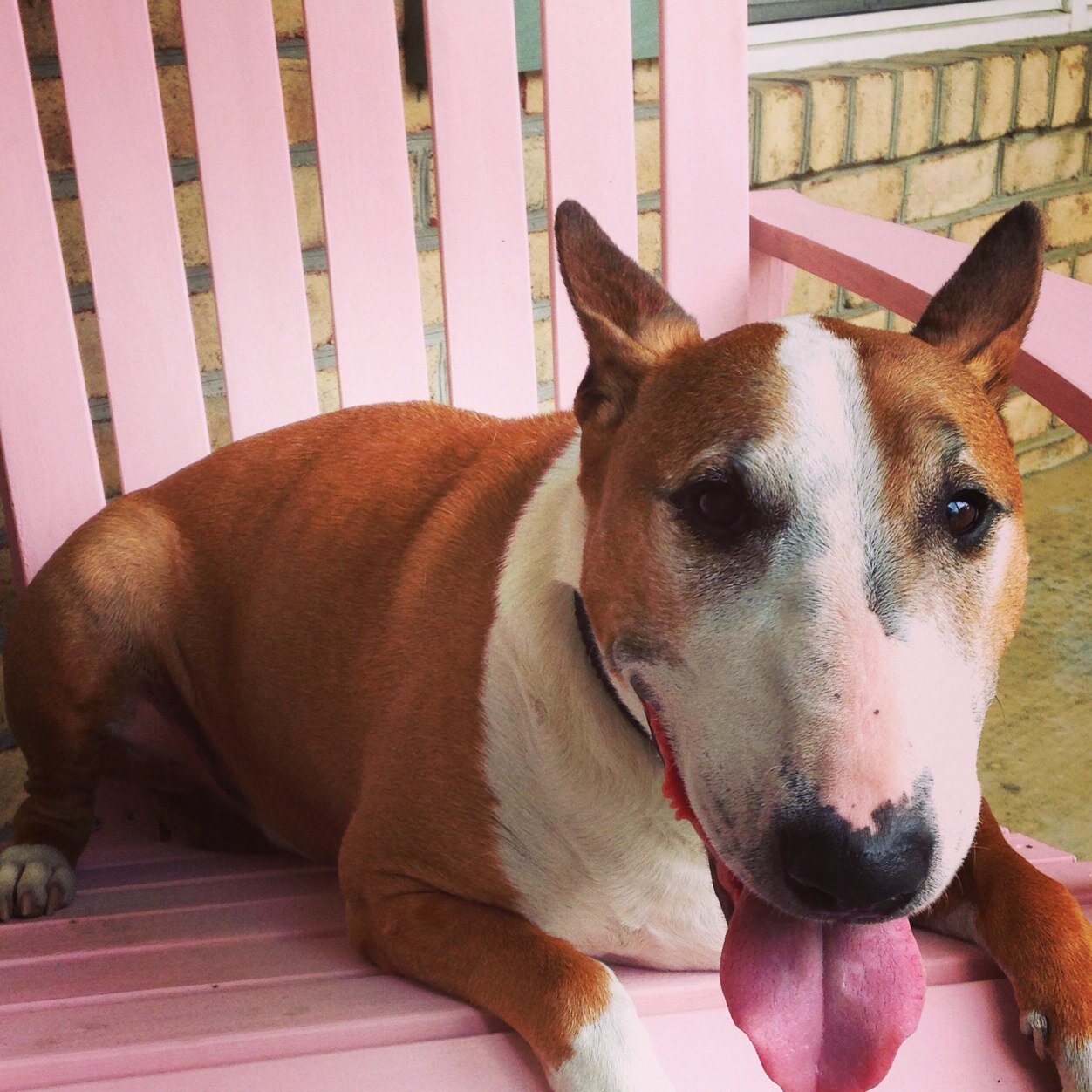 forrestjennifer's profile picture. Sourcing Specialist/Talent Acquisition professional.   Always open to networking!