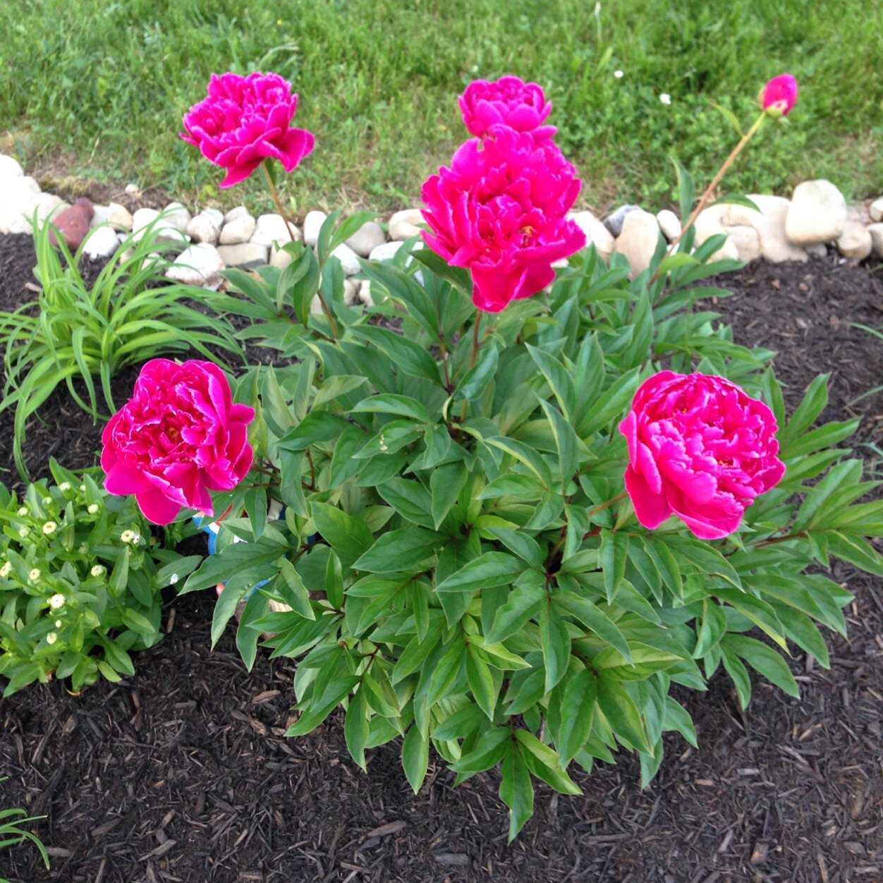 i_am_beth4154's profile picture. This is the story of a girl...