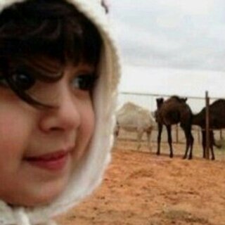 ‏‏‏فلومي فلوباك ..تلغي انا اسبق منك  رتوت 5 من المفضله وعطني تم وانا ارتوت 5 وراك