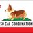 SCalCorgiNation's profile image