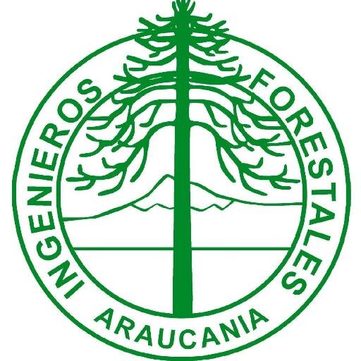 Colegio de Ingenieros Forestales de Chile A.G. Sede Araucanía 
Directorio 2021-2023
🌳🌱🍃