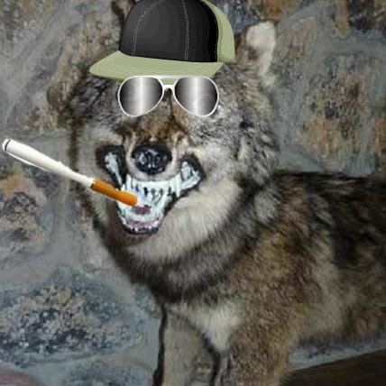 LoboMauzinho's profile picture. Eu sou Muito Mal.Mal mesmo