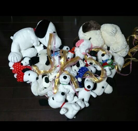 ObotsuYoshie's profile picture. I always eat a lot of chocolate! I always hear singing voices of JKS☆☆☆