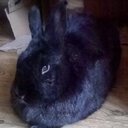 Bob Joy - @BobJoy19 - Twitter