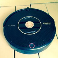 Rumi the Vacuum (@imavacuumyolo) 's Twitter Profile